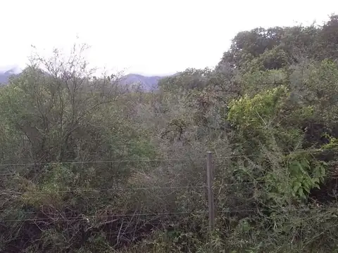 Terreno en Venta 58  mts Frente