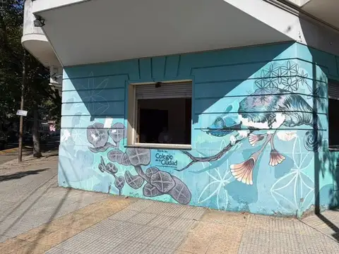 VENTA LOCAL EN COGHLAN/BELGRANO R