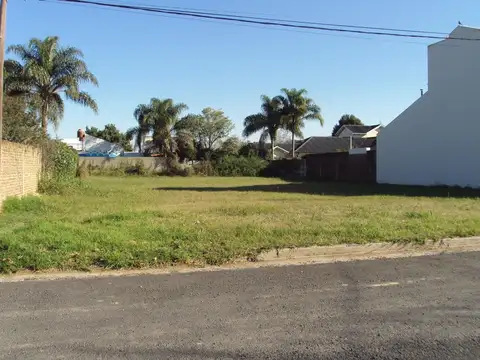 Rivadavia 100