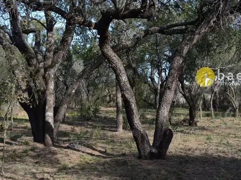 Terreno en Venta de 1049,0 m2