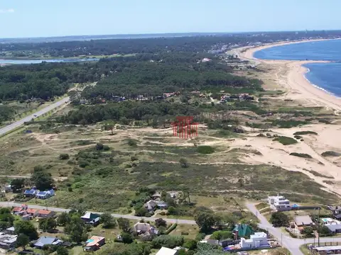 Punta del Este - Sobre la Playa