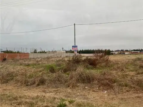 LUCIO V MANSILLA 4500