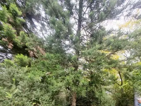 Casa en Venta en Barrio Parque Leloir, USD 275.000