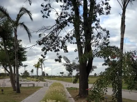 Terreno en Venta 10  mts Frente