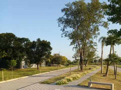 Terreno en Venta de 250,0 m2