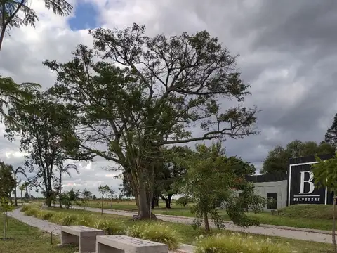 Terreno Financiacion Pesos Capitan Bermudez