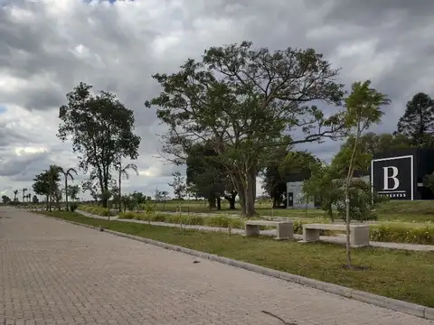 Terreno en Venta 25  mts Fondo