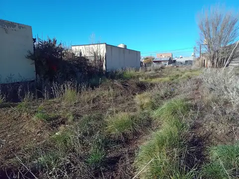 Terreno en Venta de 300,0 m2
