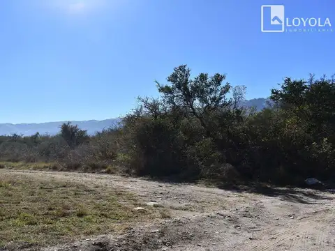 Cuesta De Los Molles