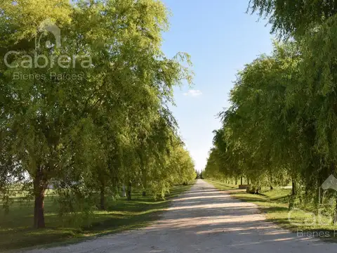 Terreno en Venta en Coronel Brandsen, USD 26.000