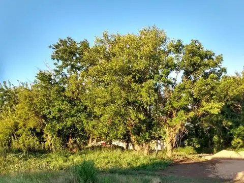 Venta de lote, Arturo Seguí. La Plata