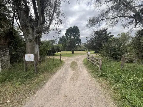 Terreno en Venta de 18398,0 m2