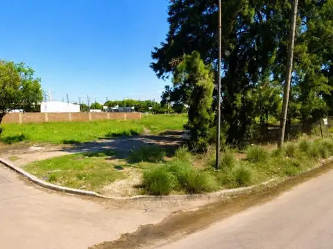 Arturo Illia 1700
