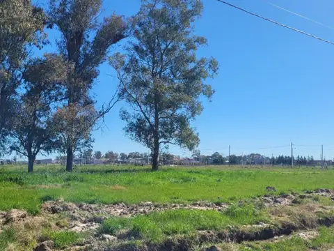 Terreno en Venta de 800,0 m2