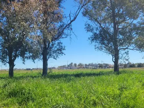 Terreno en Venta 20  mts Frente