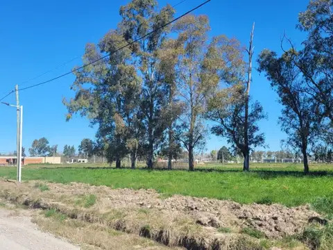 Lote venta Las Perdices 2