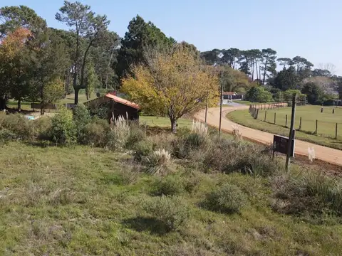 Terreno en Venta de 1172,0 m2