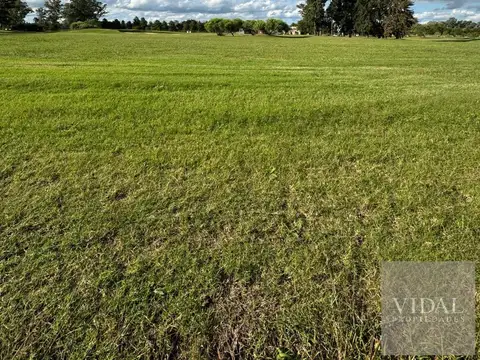 Terreno en Venta de 1600,0 m2