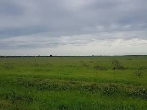 VENTA  CAMPO 3100HAS - SUR DE RAFAELA, SANTA FE