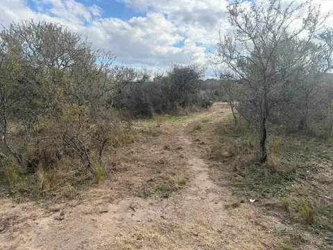 Terreno en Venta de 18000,0 m2