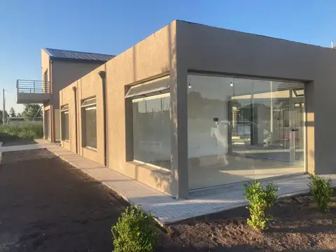 Los lapachos perez 100