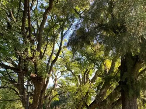 Terreno en Venta en San Francisco, USD 61.000