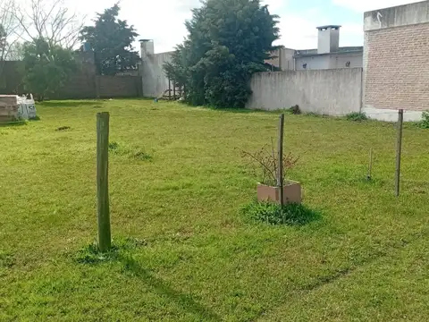 Segunda Seccion quintas – quinta N° 247 Lote 11 100
