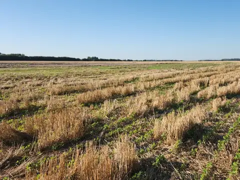 Entre Salto y Carmen de Areco