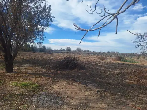 VENTA DE LOTE EN CARRIL BUEN ORDEN 921, SAN MARTIN