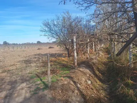 Terreno en Venta de 799,0 m2
