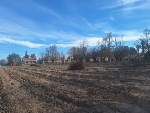 Terreno en Venta de 799,0 m2