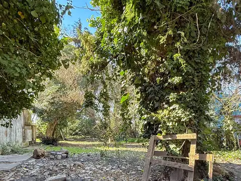 VENDEMOS TERRENO EN EXCELENTE ZONA COMERCIAL DE RINGUELET AVENIDA 7 ENTRE 514 Y 515
