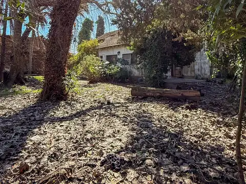 Terreno en Venta 50  mts Fondo