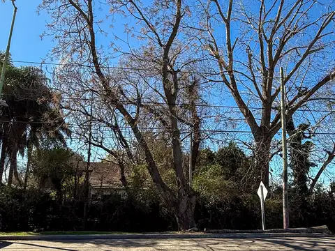Terreno en Venta 10  mts Frente