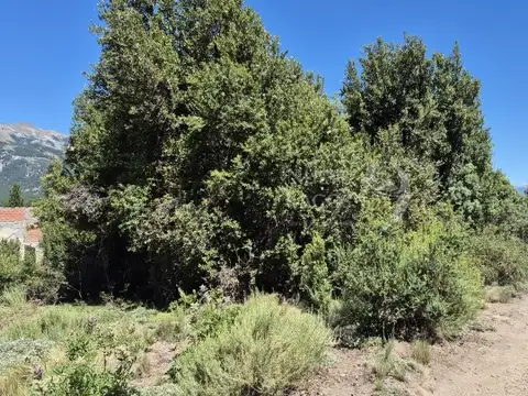 Venta de lote soleado con vegetación en Villa Lago Meliquina