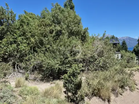 Meliquina, lote 8 de la manzana F1