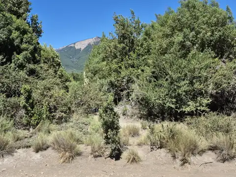 Terreno en Venta en Meliquina, USD 29.000