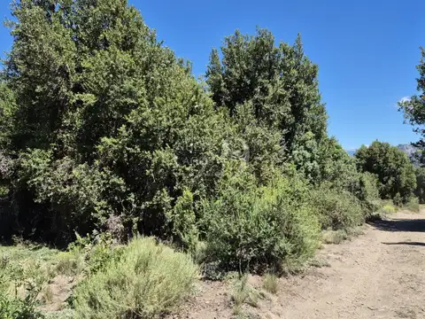 Terreno en Venta de 1136,67 m2