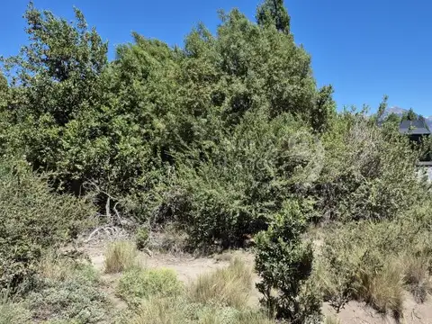 Terreno en Venta de 1136,67 m2