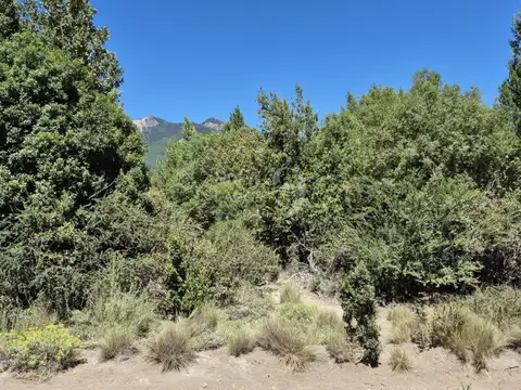 Venta de lote soleado con vegetación en Villa Lago Meliquina