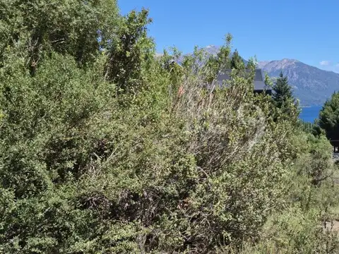 Terreno en Venta en Meliquina, USD 29.000