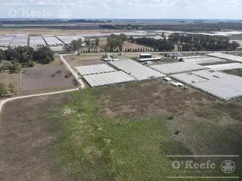 CHACRA HORTICOLA DE 3,1  ha EN VENTA