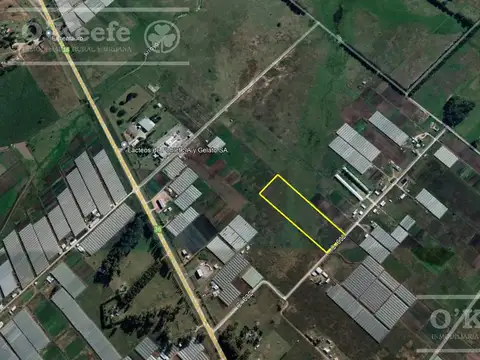 CHACRA HORTICOLA DE 3,1  ha EN VENTA