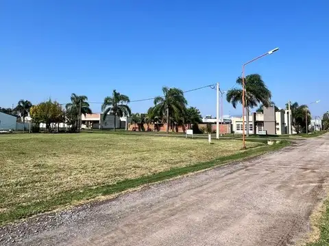 Av. Gaston Gori