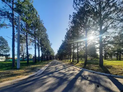 Adg. Venta De Lote En Nueva Zelaya 1