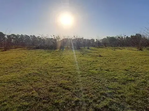 VENTA LOTE DE 5000 M2 EN ECHEGOYEN, EXALTACION DE LA CRUZ 100