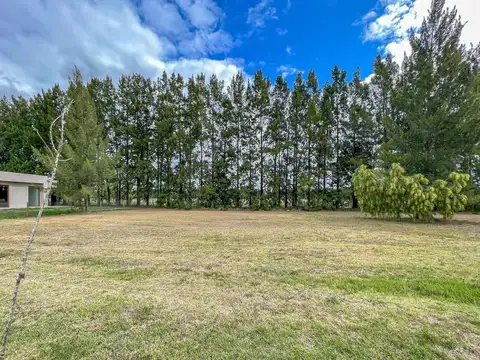 Ruta Provincial 2 6400