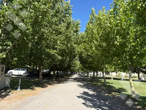 Terreno en Venta en General Roca, USD 45.000