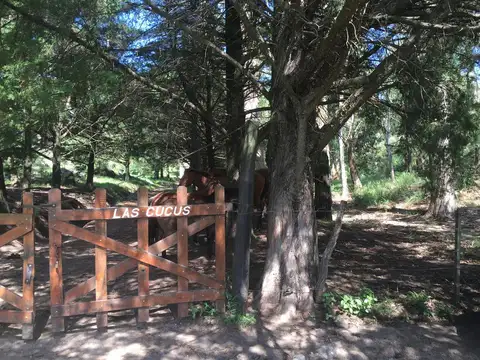 Casa en Venta 50 años