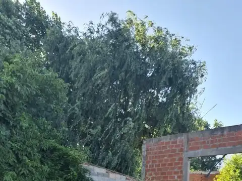 Terreno en Venta 40  mts Fondo